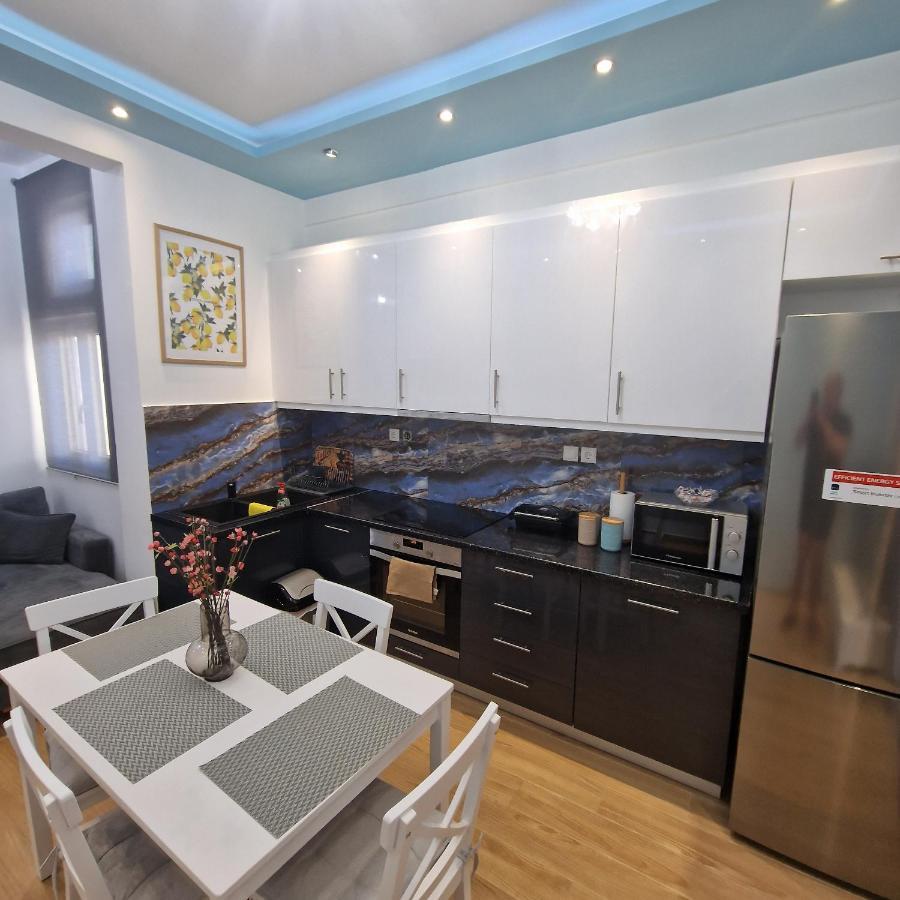 Luxury Apartment Kato Patissia アテネ エクステリア 写真